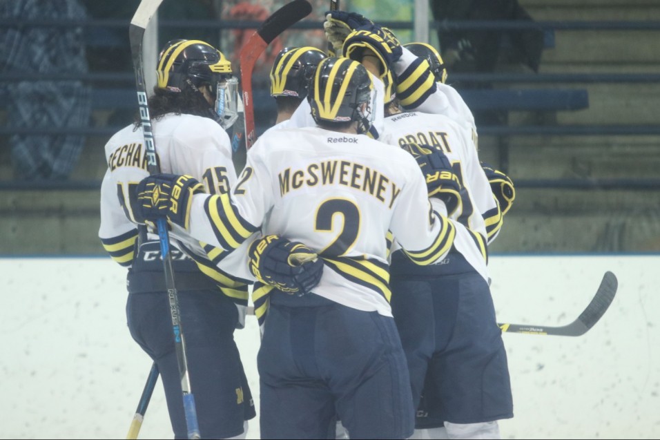 Wolverines take shootout win over Panthers