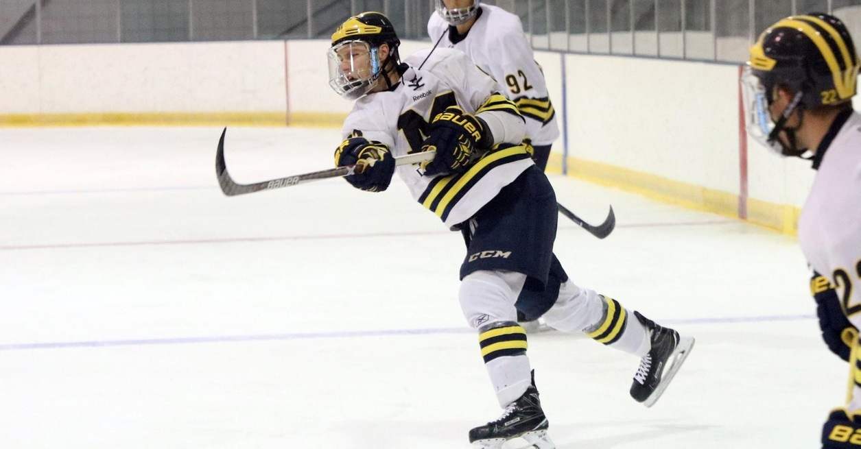 WOLVERINES CRUISE TO 6-1 WIN OVER BEARS