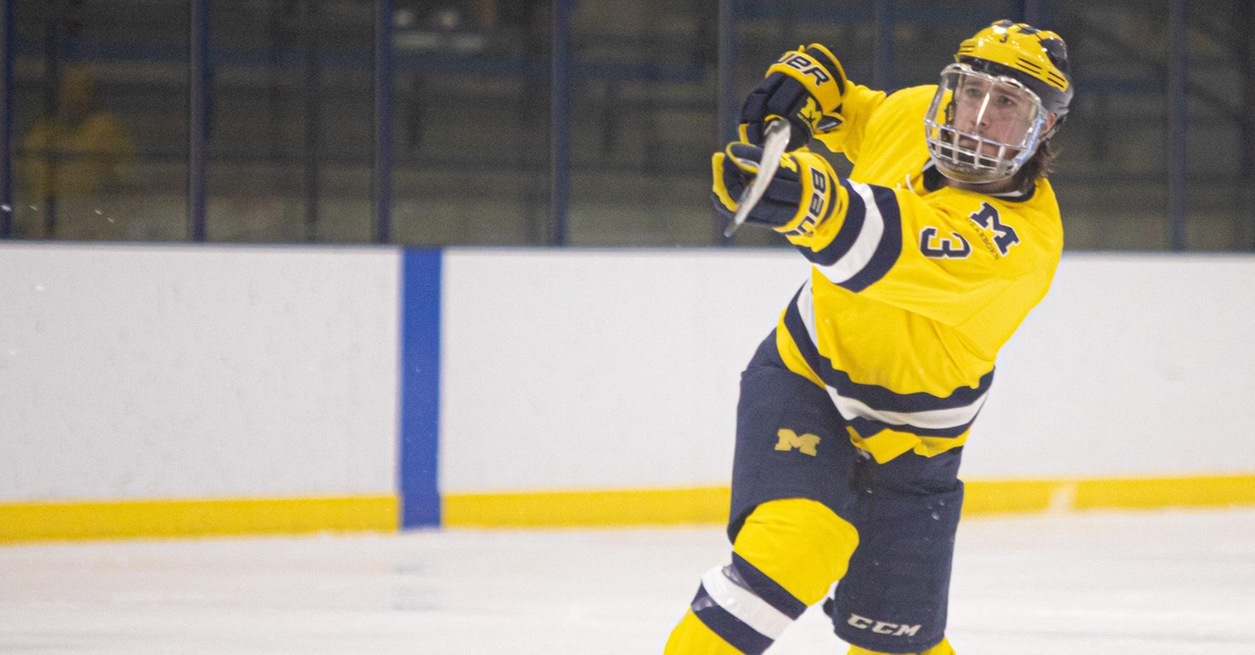Wolverines hold on for 4-3 over No. 9 Panthers