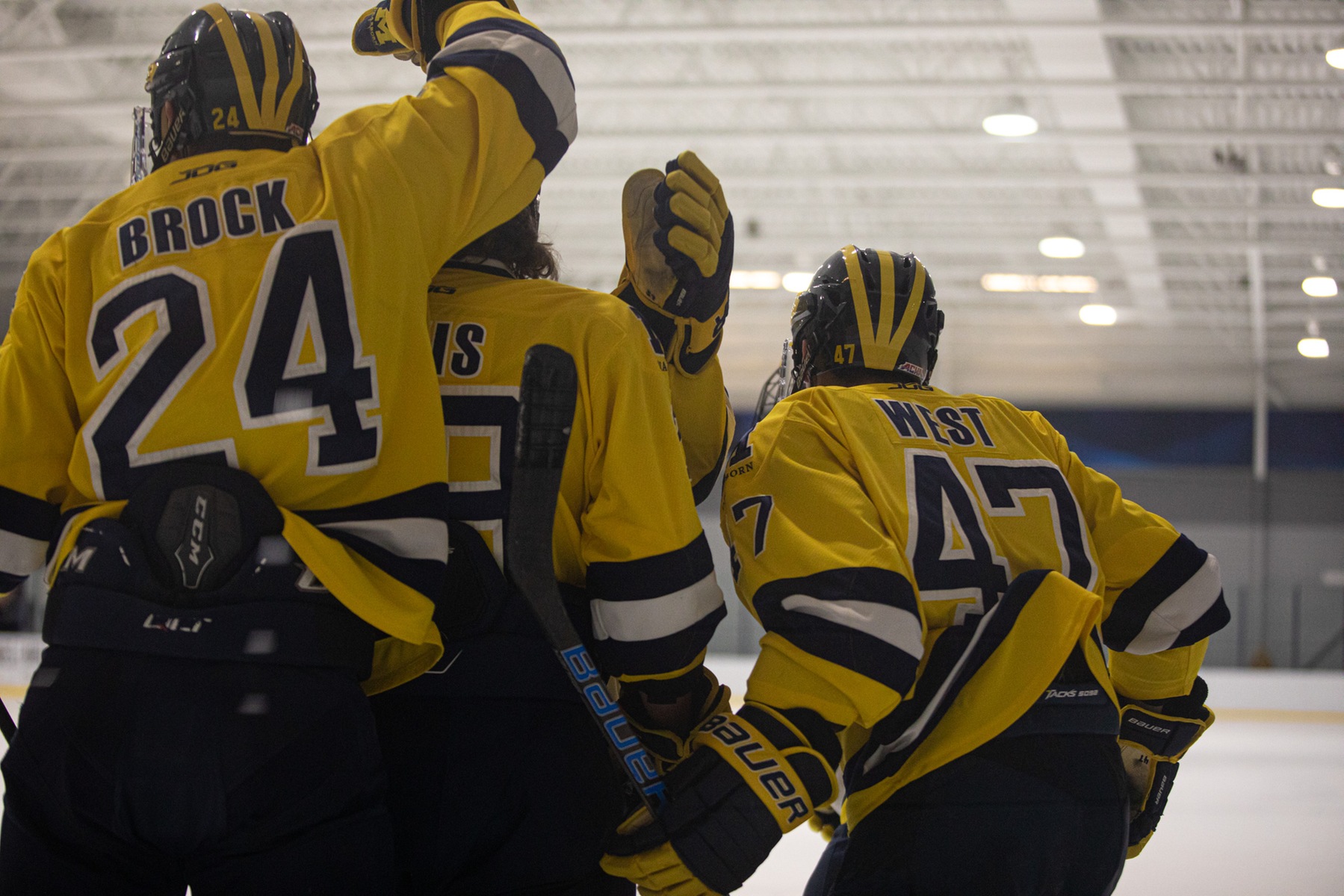 Offense Clicks as Men’s Ice Hockey Sweeps Lawrence Tech
