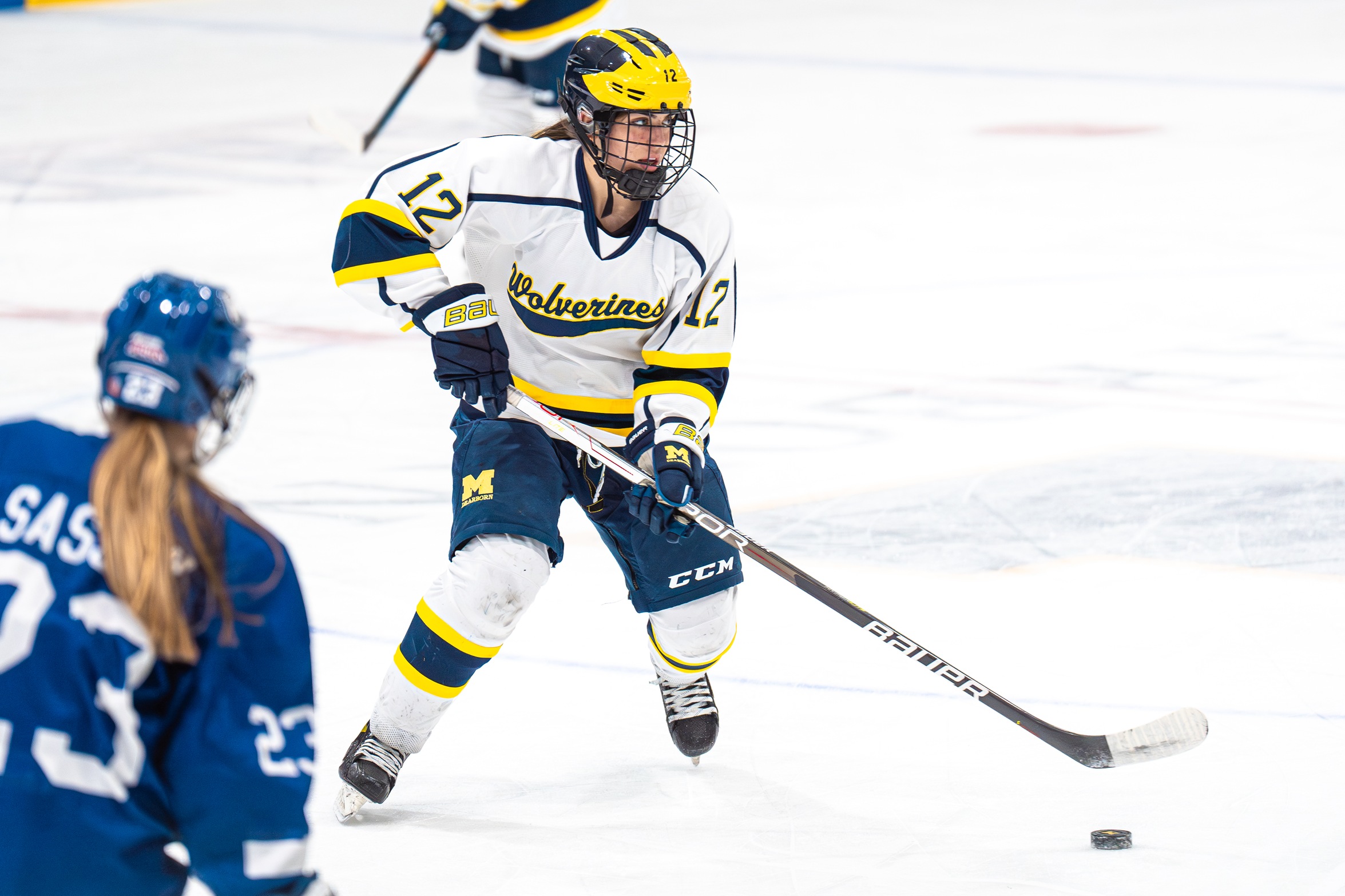 Wolverines Season Concludes at ACHA Tournament