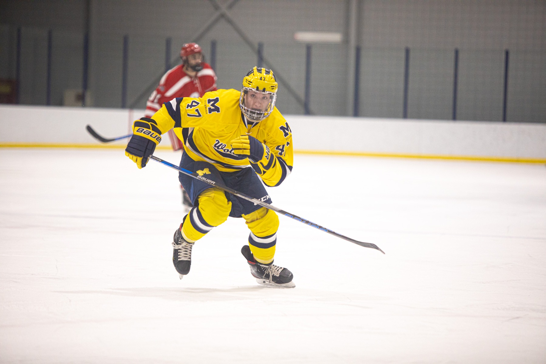 Men's Ice Hockey Tabbed to Finish Second in WHAC Preseason Poll
