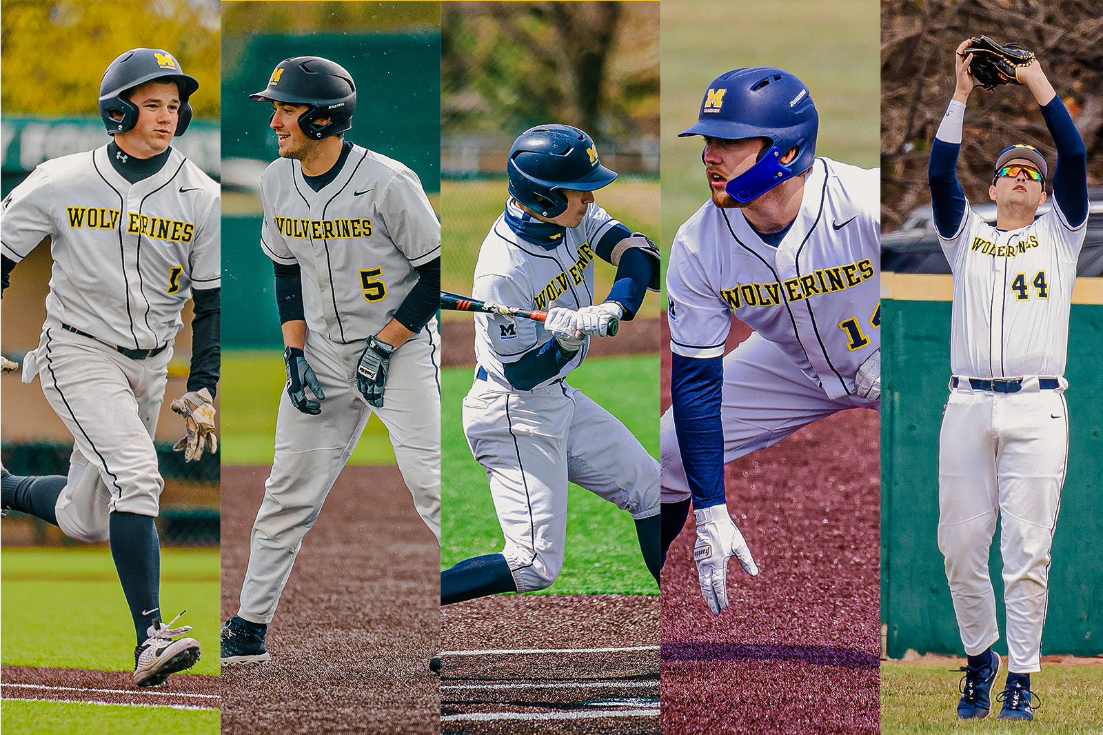 Baseball Places Five on CSC Academic All-District Team