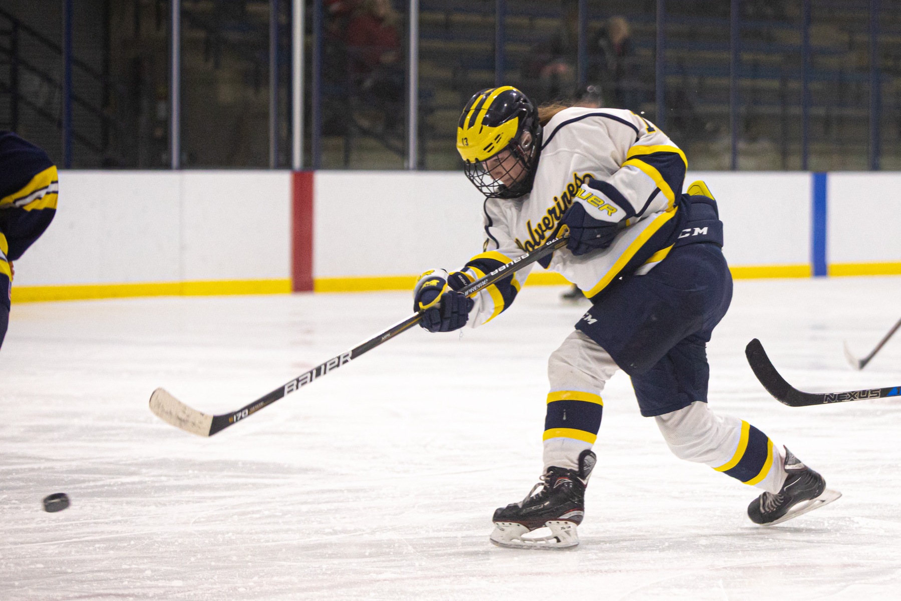Wolverines, UM-AA settle for 4-4 tie