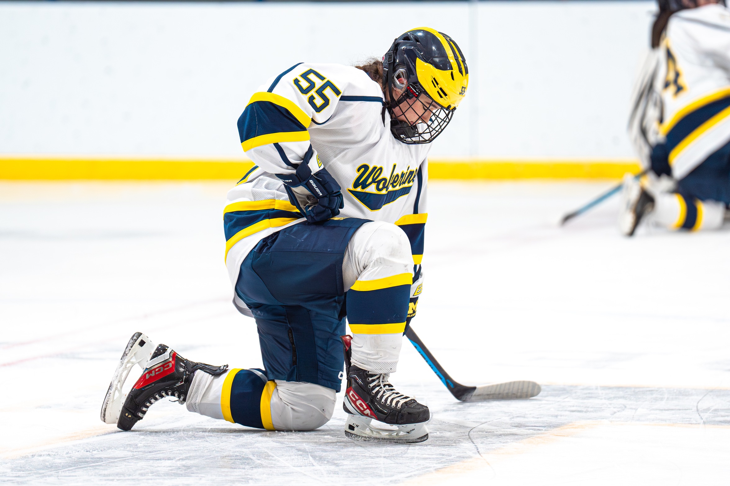 Wolverines Split Series with Lakers