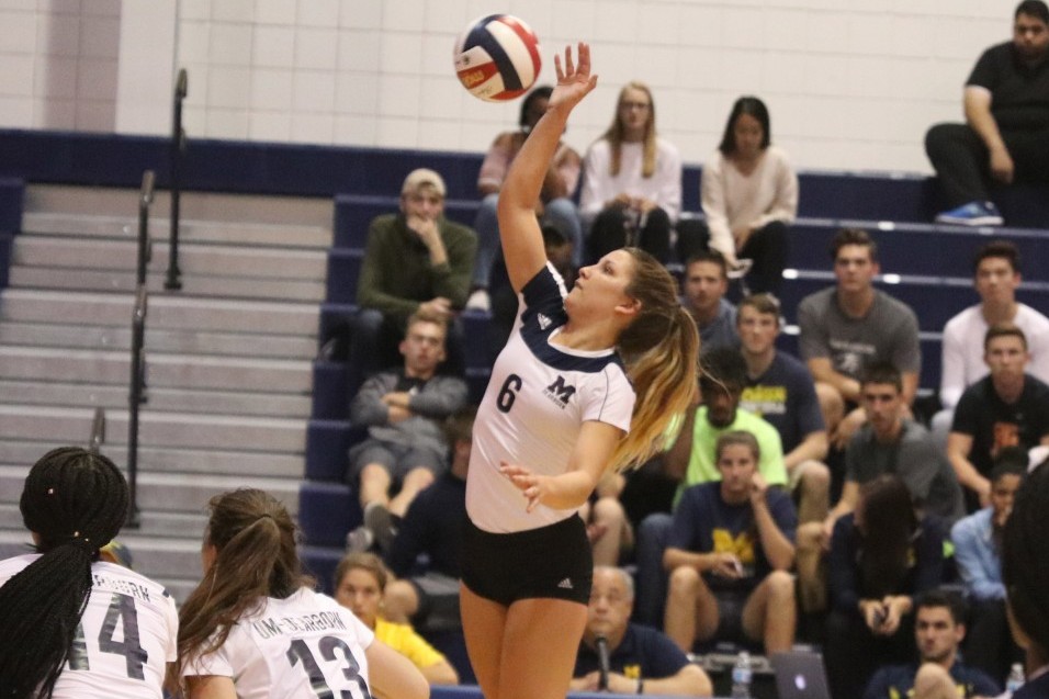 WOLVERINES FALL IN WHAC OPENER TO WARRIORS