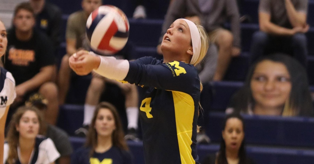 Wolverines fall in four to No. 19 Madonna