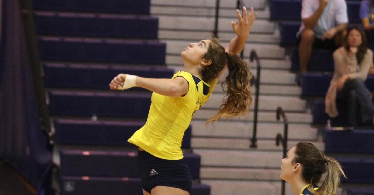 Wolverines Fall in Three Sets in Fort Wayne