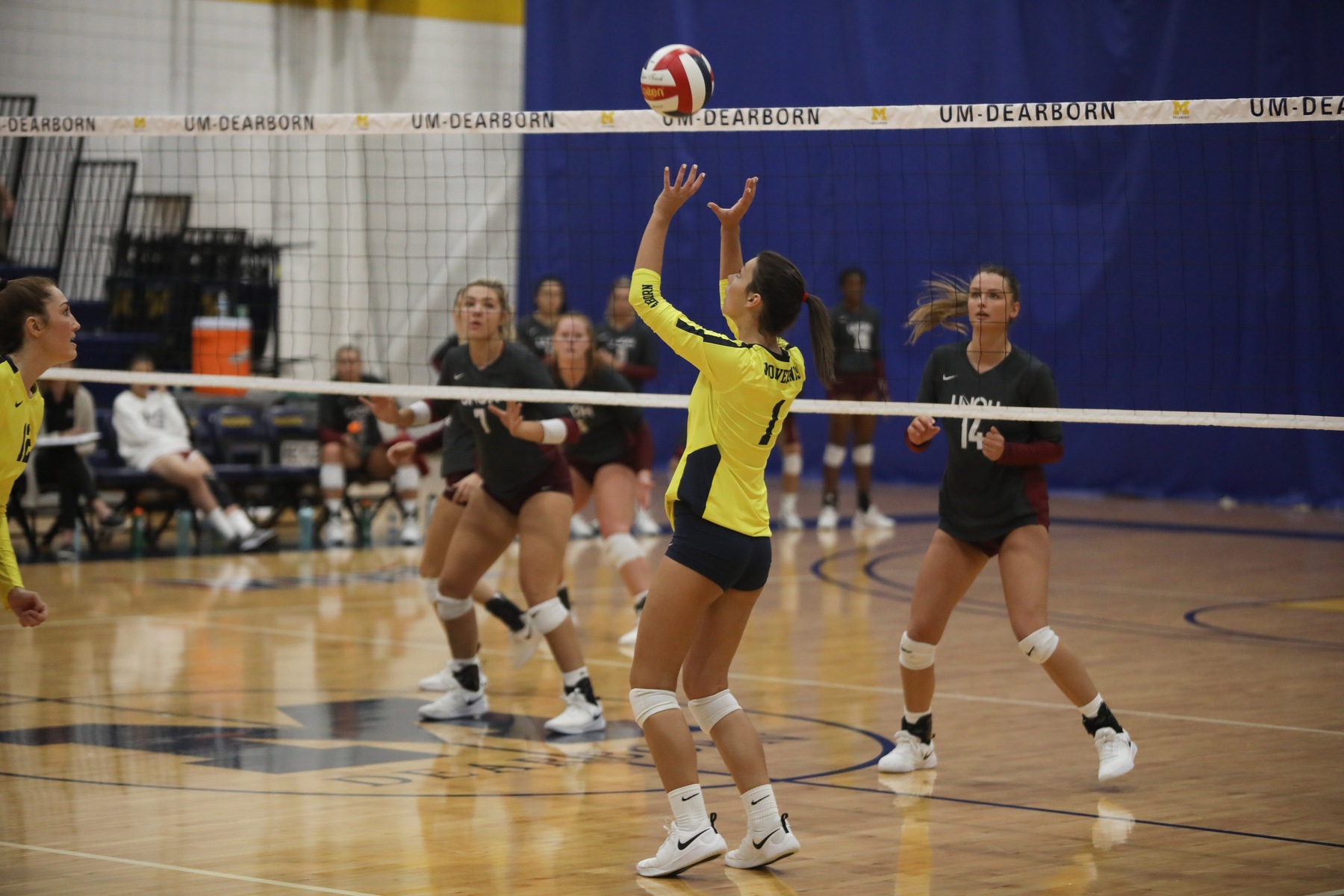 Wolverines fall in three at Siena Heights