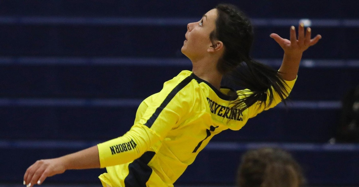 Wolverines play three matches in Indiana over the weekend