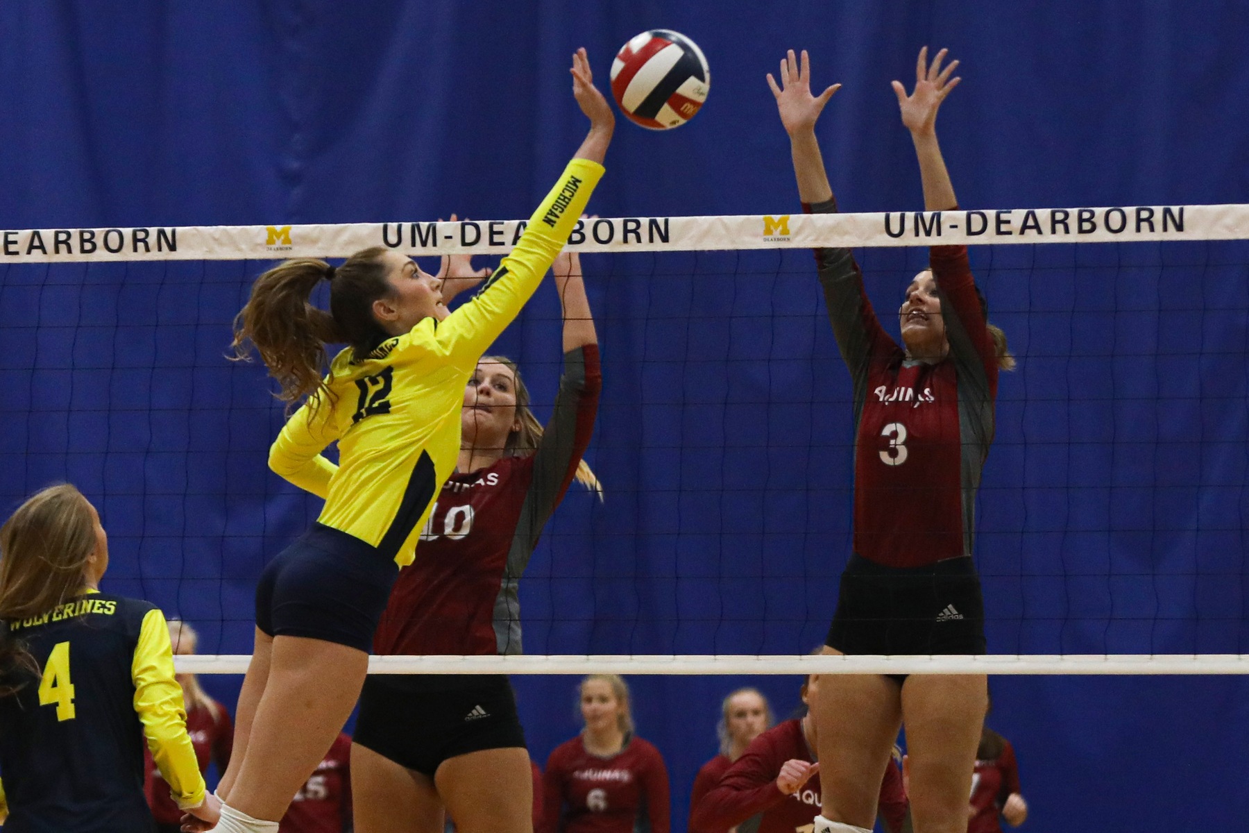 Wolverines Win a Pair on Opening Weekend